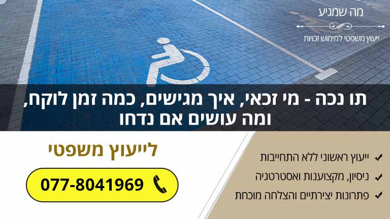 תו נכה - מי זכאי, איך מגישים, כמה זמן לוקח, ומה עושים אם נדחו
